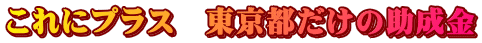 これにプラス 東京都だけの助成金